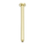 Nero Zen Round Ceiling Arm 300mm Length Brushed Gold