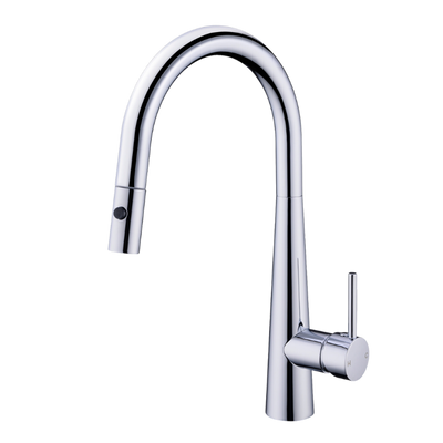 Dolce Pull-Out Sink Mixer with Veggie Spray Function Chrome