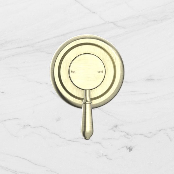 Nero York Shower Mixer with Metal Lever Aged Brass