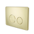 Nero In Wall Toilet Push Plate Brushed Gold
