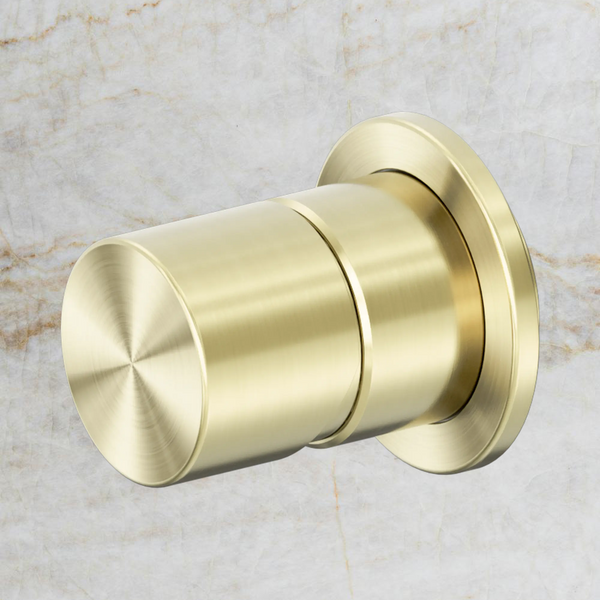 Nero Zen SS316L Pinless Shower Mixer (Complete Kit) Brushed Gold