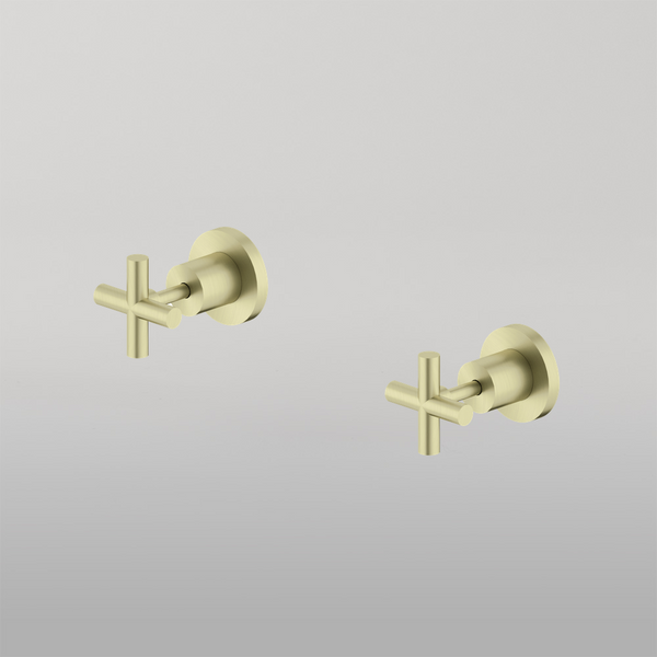 Nero X Plus Wall Tops Assembly Brushed Gold