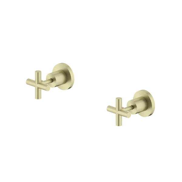 Nero X Plus Wall Tops Assembly Brushed Gold