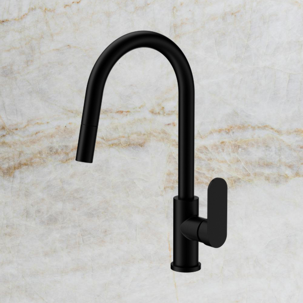 Nero Ecco Pull Out Sink Mixer Matte Black