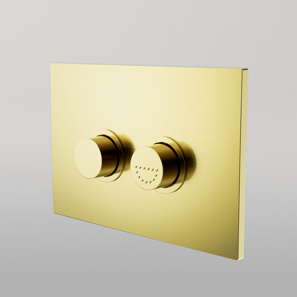Nero Raised Disabled Care Pneumatic Flush Buttons Plate DDA Compliant Brushed Gold