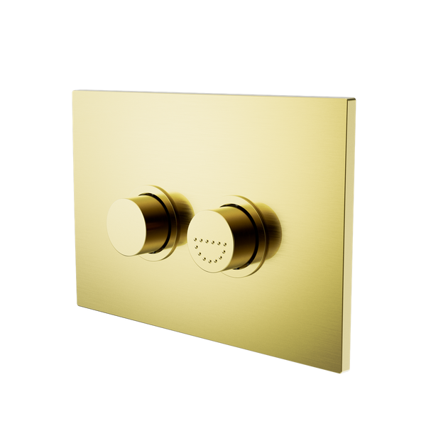 Nero Raised Disabled Care Pneumatic Flush Buttons Plate DDA Compliant Brushed Gold
