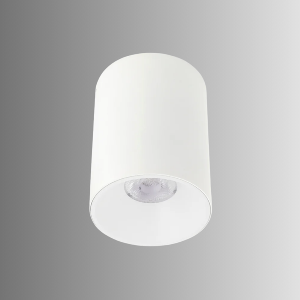 Telbix Oren CTC 12W LED White