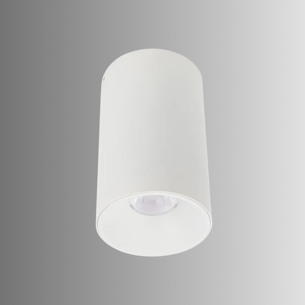 Telbix Oren CTC 18W LED White