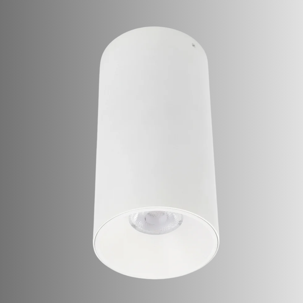 Telbix Oren CTC 24W LED White