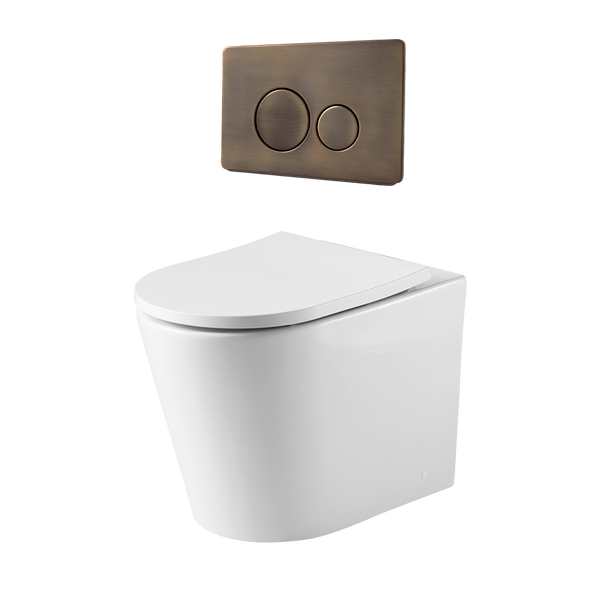 Alma Vintage Antique Brass In Wall Rimless Toilet Suite with Circle Buttons