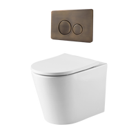 Alma Vintage Antique Brass In Wall Rimless Toilet Suite with Circle Buttons