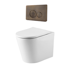 Alma Vintage Antique Brass In Wall Rimless Toilet Suite with Circle Buttons