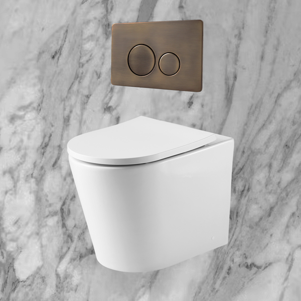Alma Vintage Antique Brass In Wall Rimless Toilet Suite with Circle Buttons
