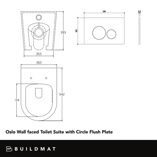Alma Vintage Antique Brass In Wall Rimless Toilet Suite with Circle Buttons