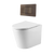 Alma Vintage Antique Brass In Wall Rimless Toilet Suite with Square Buttons