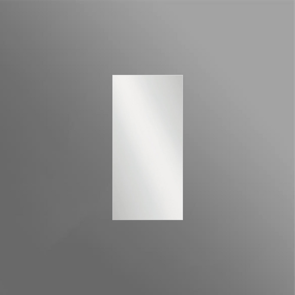 Fienza Pencil Edge Rectangular Mirror 450 x 950mm