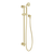 Phoenix Wiltern Rail Shower Brushed Gold