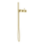 Phoenix Vivid MKII Wall Shower System Brushed Gold