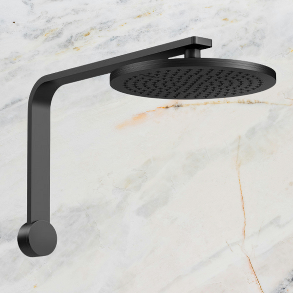 Phoenix NX Quil Shower Arm & Rose Matte Black