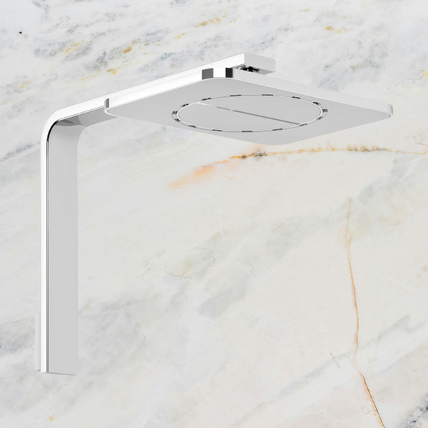 Phoenix NX Orli Shower Arm & Rose Chrome