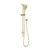 Phoenix Ormond Rail Shower  Brushed Gold