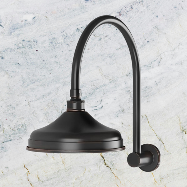 Phoenix Nostalgia Vintage Shower Arm & Rose Antique Black