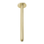 Phoenix Vivid Ceiling Arm 300mm Brushed Gold