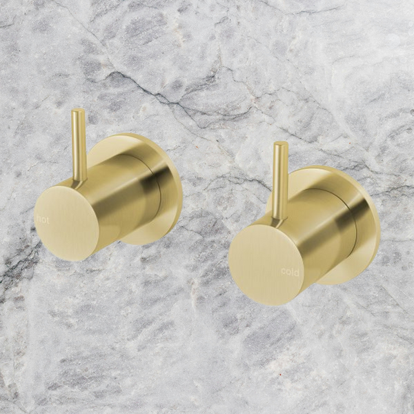 Phoenix Vivid Slimline Wall Top Assemblies Lead Free Brushed Gold