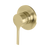 Phoenix Vivid Slimline Oval SwitchMix  Shower / Wall Mixer Brushed Gold (Complete Kit)