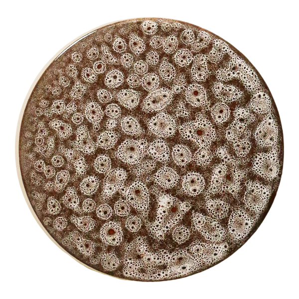 Robert Gordon Small Disc Wall Light White Ochre
