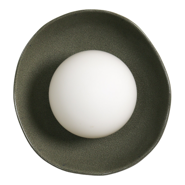 Robert Gordon Shell Wall Sconce Rivergum