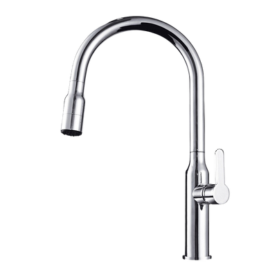 Arcisan Kitchen Sink Mixer with 2 Jet Nozzle Chrome