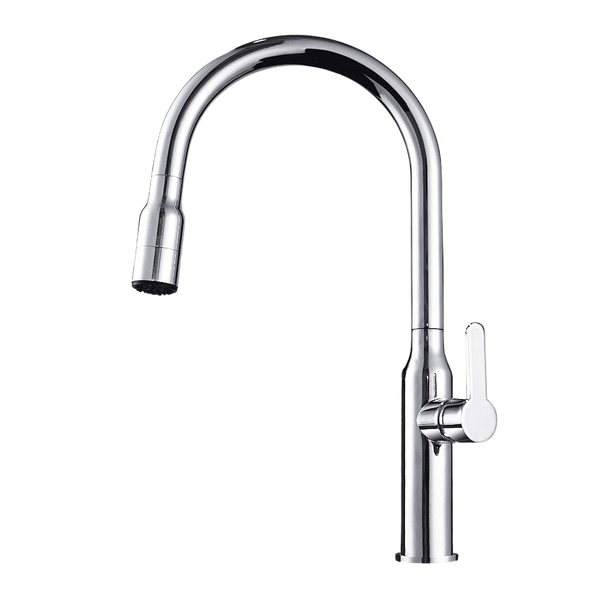 Arcisan Kitchen Sink Mixer with 2 Jet Nozzle Chrome
