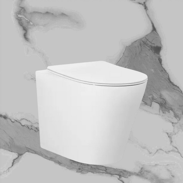 Arcisan Axus Rimless Wall Faced Toilet Pan with Slim Line Seat White