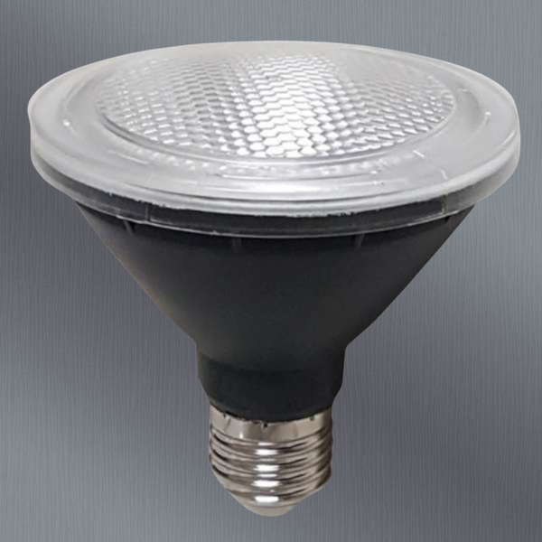 Telbix E27 10W Par30 Led Globe Non Dim 5000K