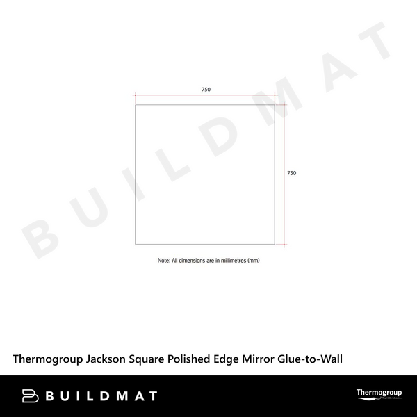Thermogroup Ablaze Jackson Square Polished Edge Mirror 750x750mm