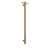 Thermogroup Brushed Gold 240Volt Vertical Single Heated Rail Brushed Gold PVD