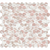 Tiles Callisto Norwegian Pink Penny Round Honed 23 x 23mm