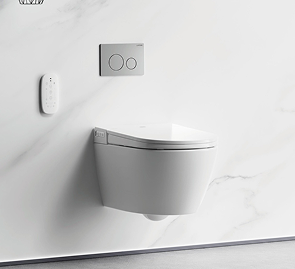 #Toilets & Toilet Accessories