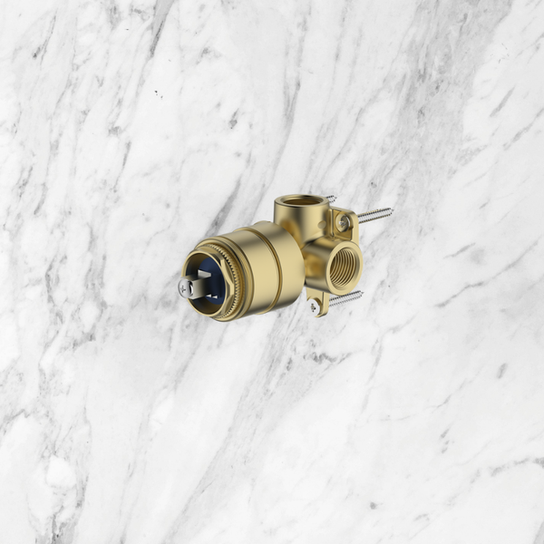 Oliveri Generic Wall Mixer Inwall Body Only Lead Free