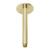 Phoenix Vivid Ceiling Arm 150mm Brushed Gold