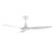 Ventair Skyfan 3 Blade DC Ceiling Fan (52