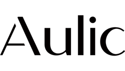Aulic Mirrors