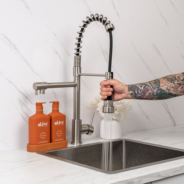 Alma Cleo Brushed Nickel Pull Down Dual Spray Mixer