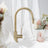 Mira Brushed Brass Gold Pull Out Mixer