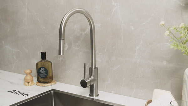 Alma Mira 316 Stainless Steel Pull Out Mixer