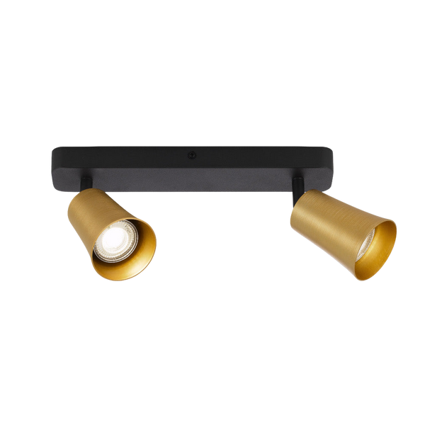Telbix Alvey 2 Lights Spot Bar Gold Black