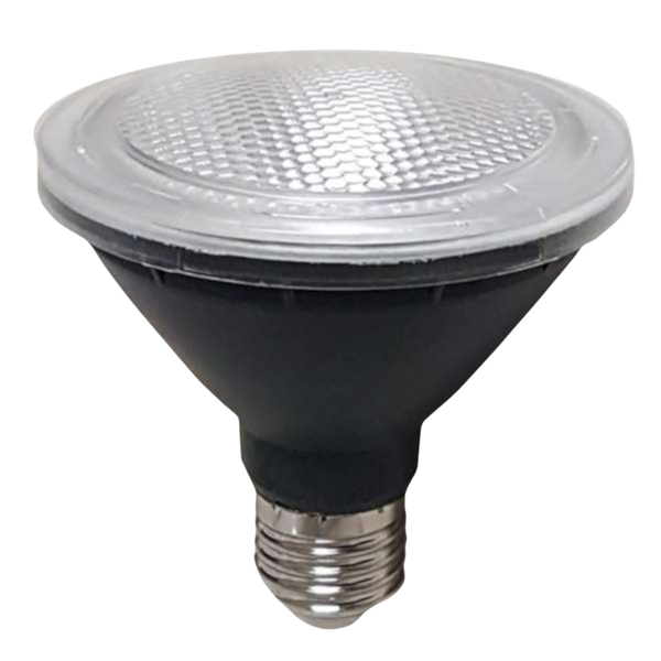 Telbix E27 10W Par30 Led Globe Non Dim 5000K