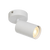 Telbix Picard 1 Light Spotlight White