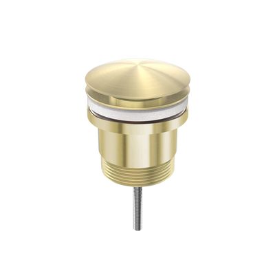 Nero Universal Pop Up Waste Brushed Gold